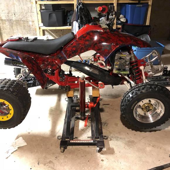 Meet your Posher, Ty - Picture 1 of 1